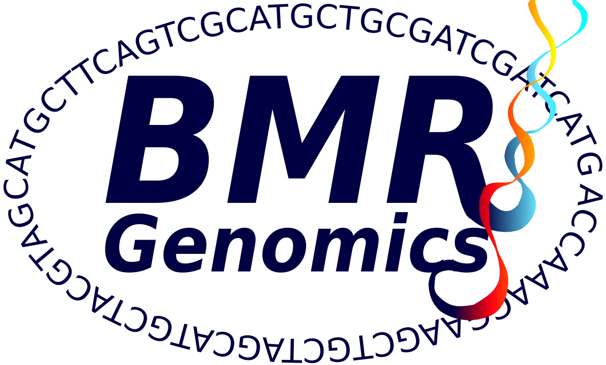 BMR Logo 1